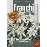 Seminte floare de colt Edelweiss