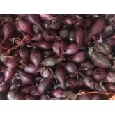 Arpagic rosu Red Baron, calibru 8/14, 1 kg