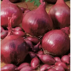 Arpagic rosu Red Baron, calibru 8/14, 1 kg