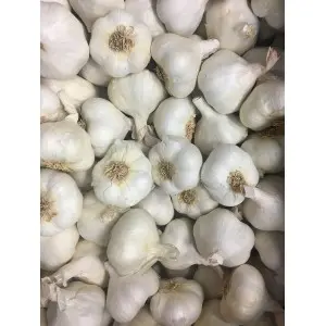Usturoi spaniol alb Garcua, calibru 50+, sac 0,5 kg