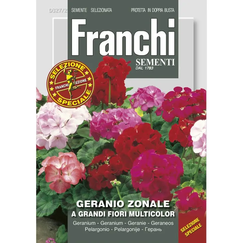 Seminte muscata zonala cu flori mari Multicolor