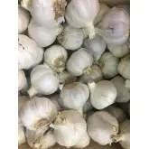 Usturoi spaniol rosu Gardos, calibru 55+, sac 0,5 kg