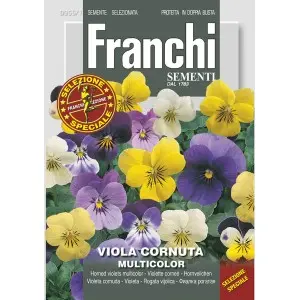 Seminte panselute cu flori mici Multicolor