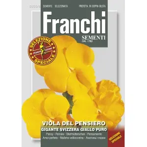 Seminte panselute gigante Elvetiene Galbene pur