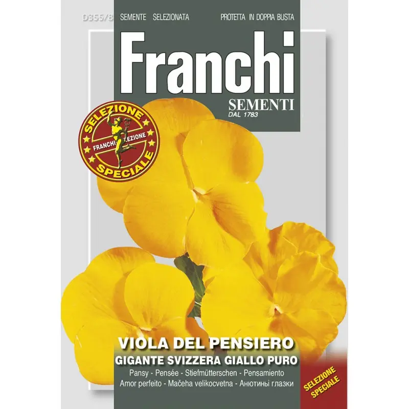 Seminte panselute gigante Elvetiene Galbene pur