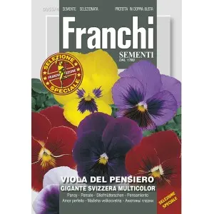 Seminte panselute gigante Elvetiene Mix