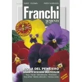 Seminte panselute gigante Elvetiene Mix