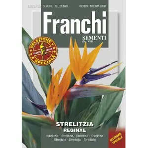 Seminte strelitia Pasarea Paradisului