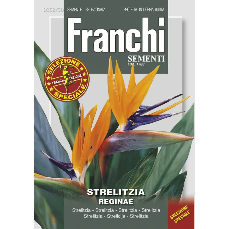 Seminte strelitia Pasarea Paradisului