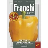 Seminte ardei gras Golda F1 Franchi Sementi Hibrid