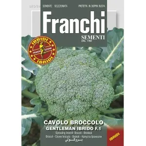 Seminte broccoli Greenbow F1 Franchi Sementi Hibrid