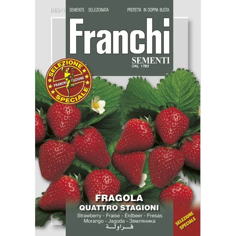 Seminte capsuni Quattro Stagioni Franchi Sementi Hibrid