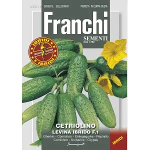Seminte castraveti Levina F1 Franchi Sementi Hibrid