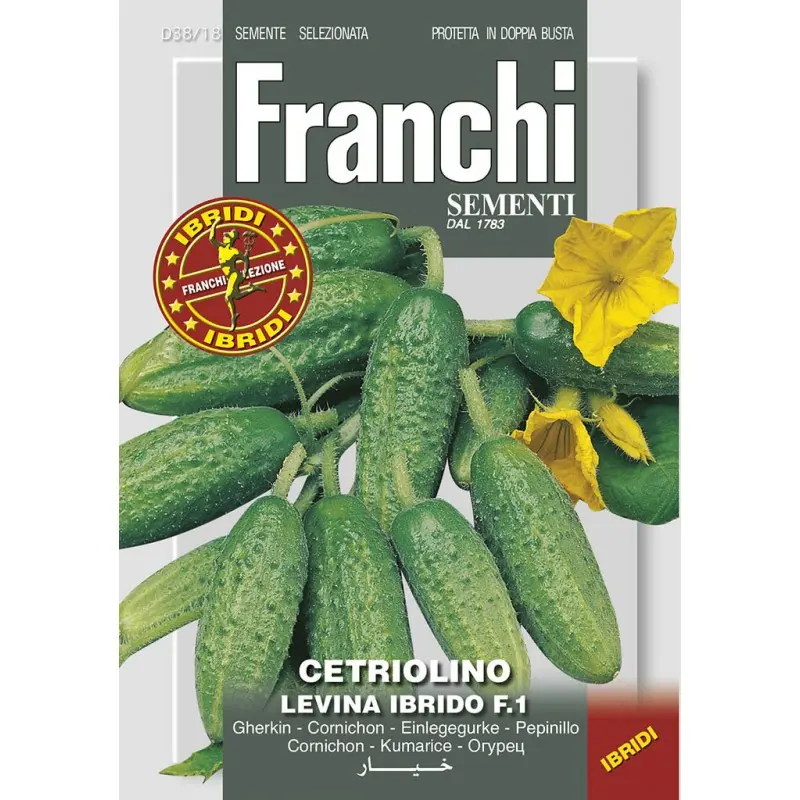 Seminte castraveti Levina F1 Franchi Sementi Hibrid