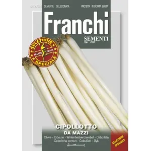 Seminte ceapa de legatura Da Mazzi Franchi Sementi Hibrid