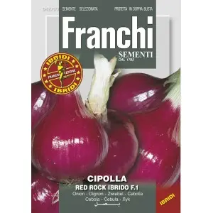 Seminte ceapa Red Rock F1 Franchi Sementi Hibrid