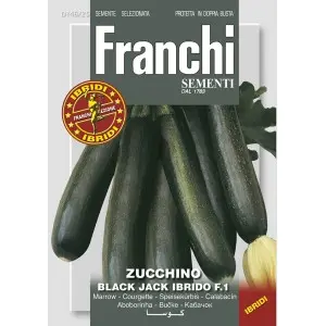 Seminte dovlecel Black Jack F1 Franchi Sementi Hibrid