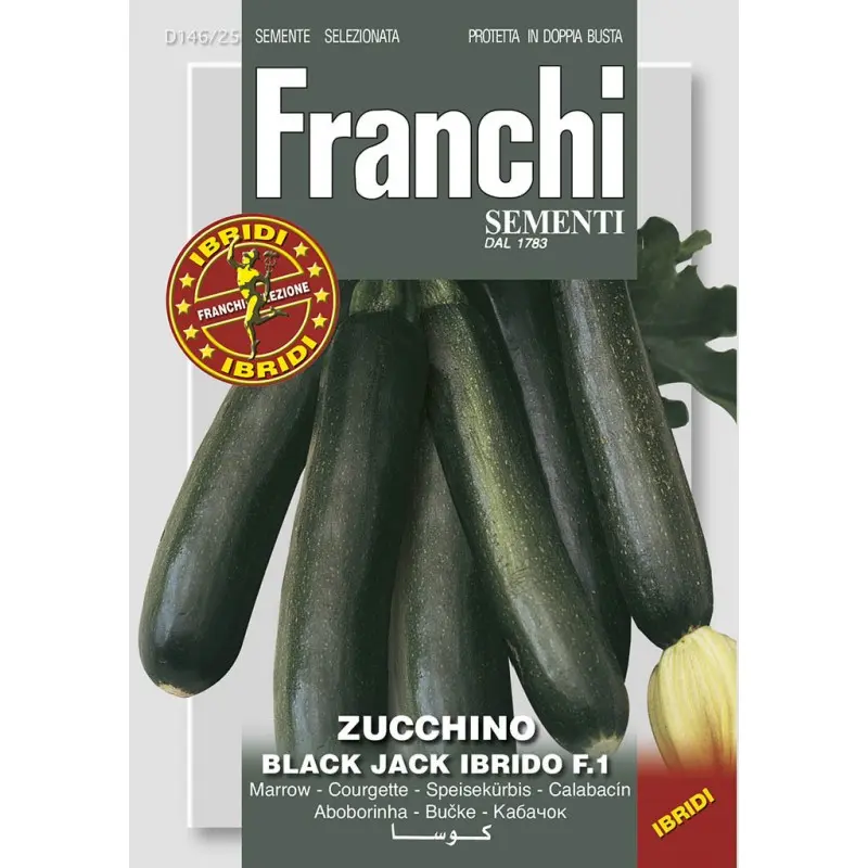 Seminte dovlecel Black Jack F1 Franchi Sementi Hibrid