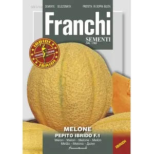 Seminte pepene galben Sweet America F1 Franchi Sementi Hibrid