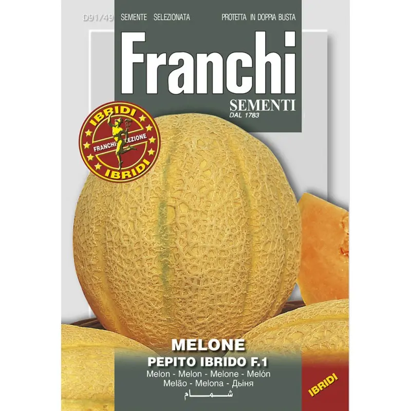 Seminte pepene galben Sweet America F1 Franchi Sementi Hibrid