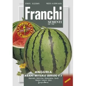 Seminte pepene verde Asahi Miykao F1 Franchi Sementi Hibrid