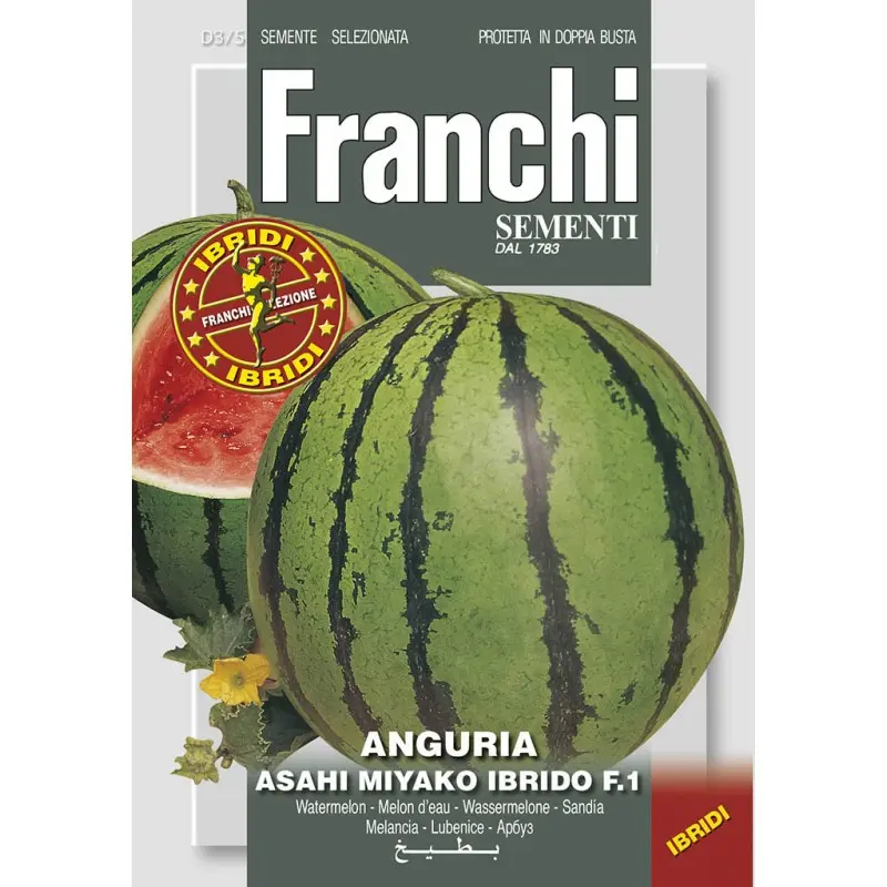 Seminte pepene verde Asahi Miykao F1 Franchi Sementi Hibrid