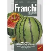 Seminte pepene verde Asahi Miykao F1 Franchi Sementi Hibrid
