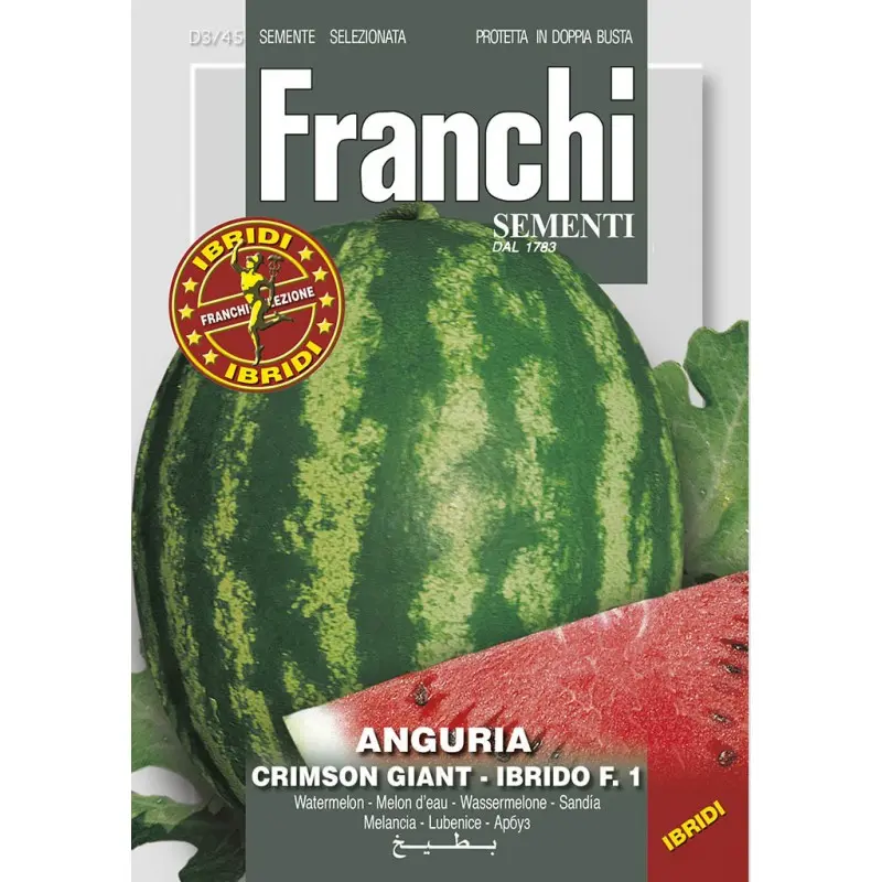 Seminte pepene verde Crimson Giant HY F1 Franchi Sementi Hibrid