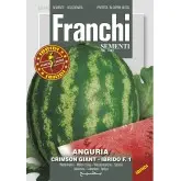 Seminte pepene verde Crimson Giant HY F1 Franchi Sementi Hibrid