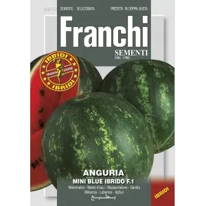 Seminte pepene verde Mini Blue F1 Franchi Sementi Hibrid