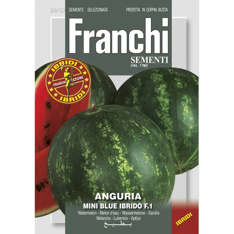 Seminte pepene verde Mini Blue F1 Franchi Sementi Hibrid