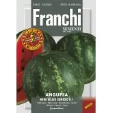 Seminte pepene verde Mini Blue F1 Franchi Sementi Hibrid
