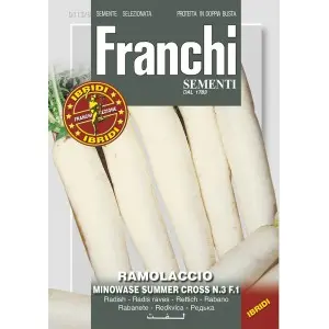 Seminte ridichi albe Minowase Summer Cross F1 Franchi Sementi Hibrid