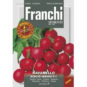 Seminte ridichi de luna Riscio F1 Franchi Sementi Hibrid