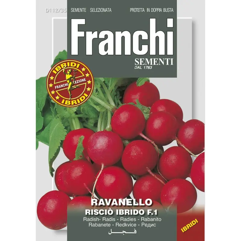 Seminte ridichi de luna Riscio F1 Franchi Sementi Hibrid