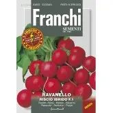 Seminte ridichi de luna Riscio F1 Franchi Sementi Hibrid