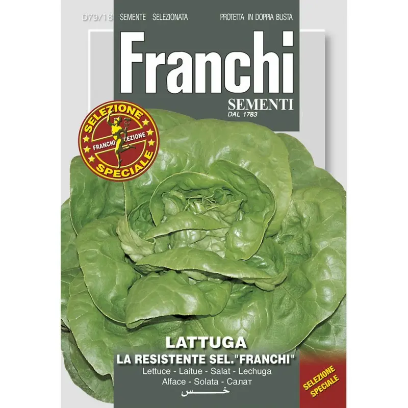 Seminte salata La Resistente Sel. Franchi F1 Franchi Sementi Hibrid