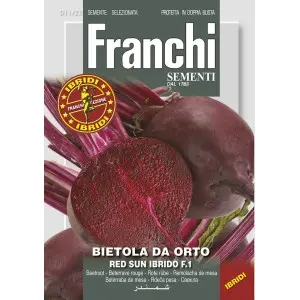 Seminte sfecla rosie Red Sun F1 Franchi Sementi Hibrid