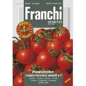 Seminte tomate Caliendo F1 Franchi Sementi Hibrid