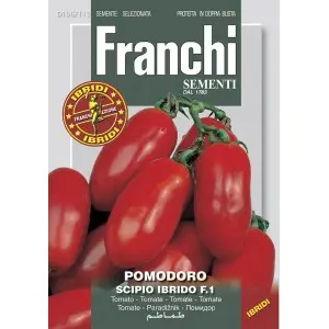Seminte tomate Da Salsa Scipio F1 Franchi Sementi Hibrid