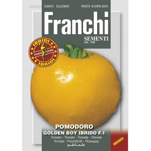 Seminte tomate Golden Boy F1 Franchi Sementi Hibrid