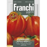 Seminte tomate Ricciolo F1 Franchi Sementi Hibrid