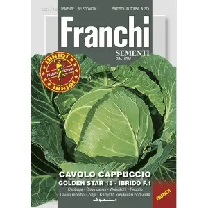 Seminte varza alba Golden Star F1 Franchi Sementi Hibrid