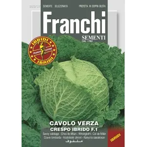 Seminte varza creata Savostar HY F1 Franchi Sementi Hibrid