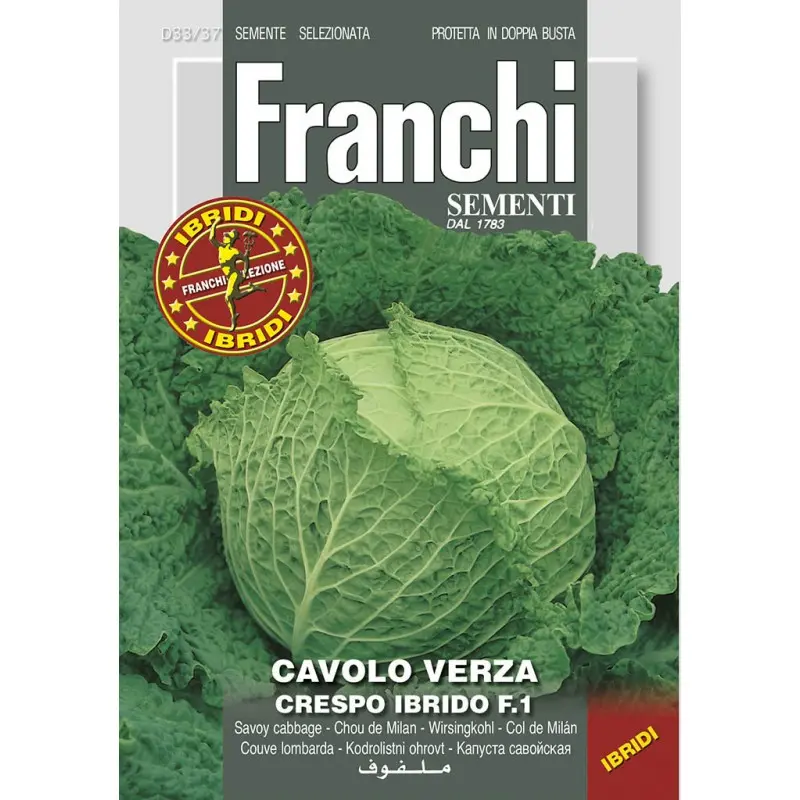 Seminte varza creata Savostar HY F1 Franchi Sementi Hibrid