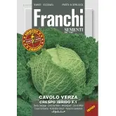 Seminte varza creata Savostar HY F1 Franchi Sementi Hibrid