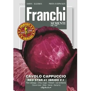 Seminte varza rosie Red Star 41 F1 Franchi Sementi Hibrid