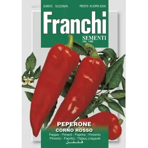 Seminte ardei capia Corno Rosso Franchi Sementi
