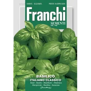 Seminte busuioc Italiano Classico Franchi Sementi