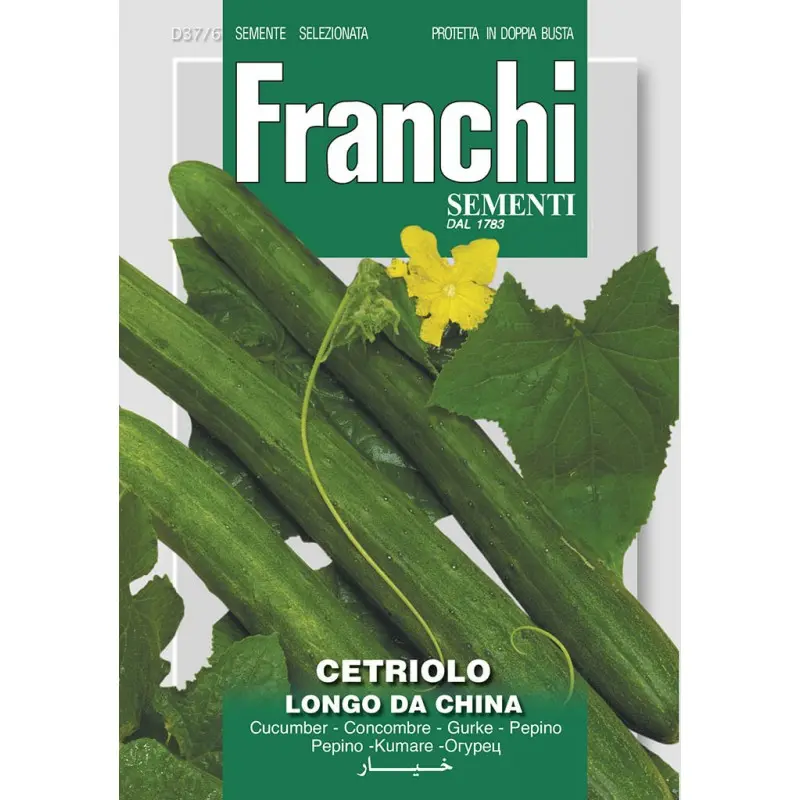 Seminte castraveti Longo da China Franchi Sementi